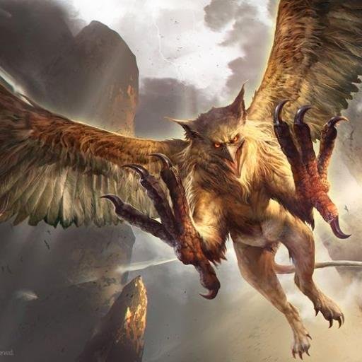 JoaoAntonio008's profile picture. 