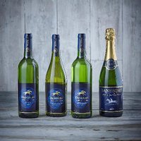 Danebury Vineyards (@daneburyfizz) 's Twitter Profile