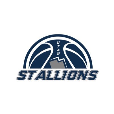 Utah State men's basketball alumni reuniting to compete in a national tournament. Playing in @thetournament to win $2 million. IG: UtahStStallions | Go Aggies!