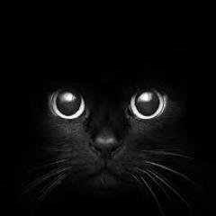 ThedifferenceSA's profile picture. Electronic Dance Duo : @mludj & aFrikaSoul_SA 
For bookings + PR enquiries; duke@studionova.co.za / +27 81 503 4495