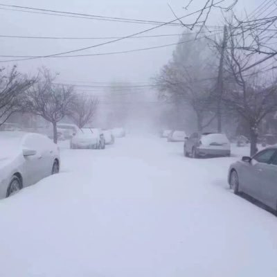 maggie2860's profile picture. 