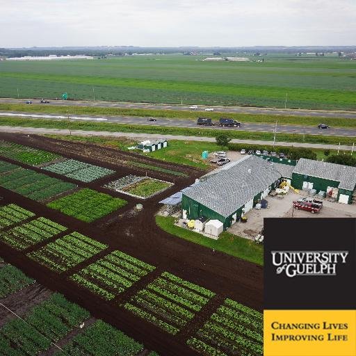 We are the UofG Ontario Crops Research Centre - Bradford IPM Program. We provide local carrot, onion, and celery growers with scouting and pest/disease info.