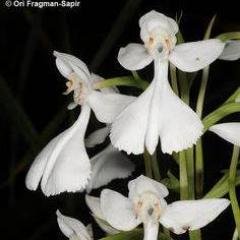 vaovvp20101's profile picture. 