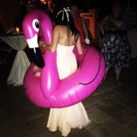 Kelsey Satterlee (@kelseygeorge) 's Twitter Profile Photo