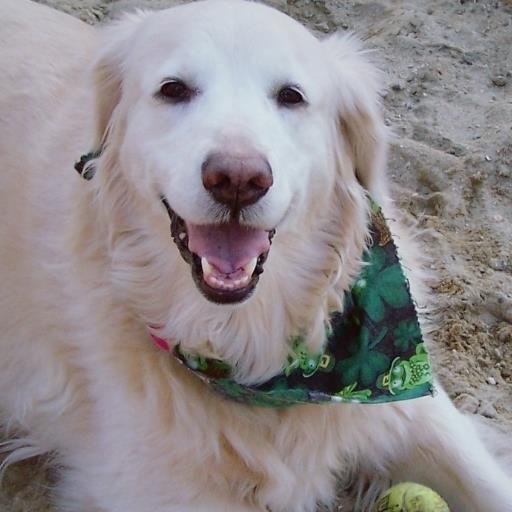 HeatherBarresi's profile picture. 