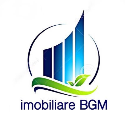 imobiliareBGM's profile picture. administrare imobile, case, vile, duplex, apartamente, imobiliare, vânzări, închirieri, servicii, evaluare, romania, timisoara