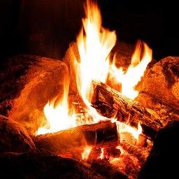 YesInvestment's profile picture. Building Investment Knowledge