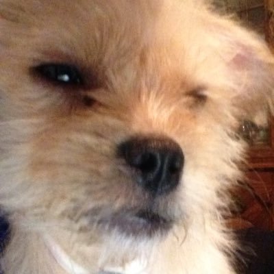 TheOriginaluv's profile picture. 