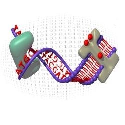 Protein Bioinformatics Research Group Profile