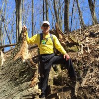 Anthony M Gragg (@graggallheel) 's Twitter Profile Photo