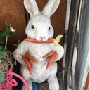 Lori Kramer - @LoriKramer56 - Twitter