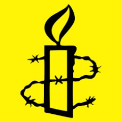Matching volunteers to governance roles within Amnesty International UK. Good Governance is essential for sustainable fight for human rights. Can you help?