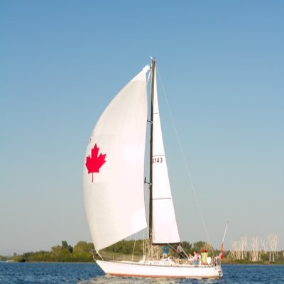 RankResearchGrp's profile picture. 