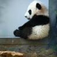 Ohlala (@l5n) 's Twitter Profile