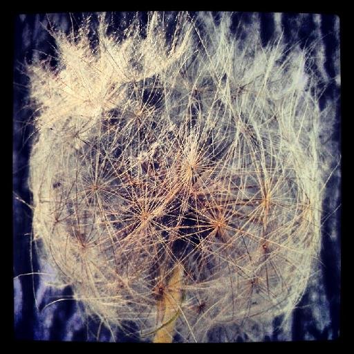 spencermathews's profile picture. I am NOT a British reality TV star