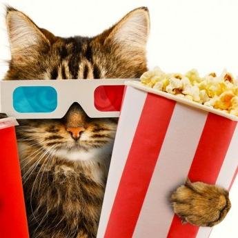 Conversemos sobre la película que estás viendo! Sígueme, mencióname con @CineComenta y compartiré.