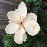 Sue Mitchell (@suemitchellafr) 's Twitter Profile Photo