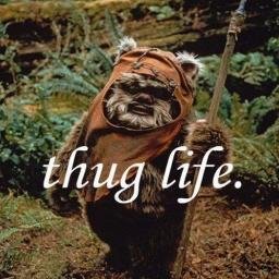 The baddest Ewok to ever live. You mess with me, you're taking your life into your own paws.  
Star Wars RP/Parody account not affiliated with LucasFilms/Disney