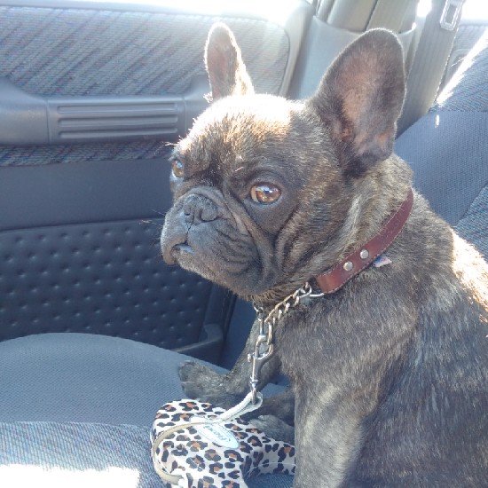 FusionAthletics's profile picture. 