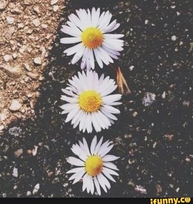 techdeath1's profile picture. Smile, it looks good on you. ⚓♒
3/11/16