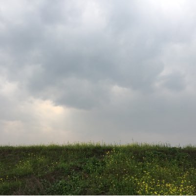 简单点