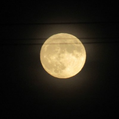 athenaiz1's profile picture. 