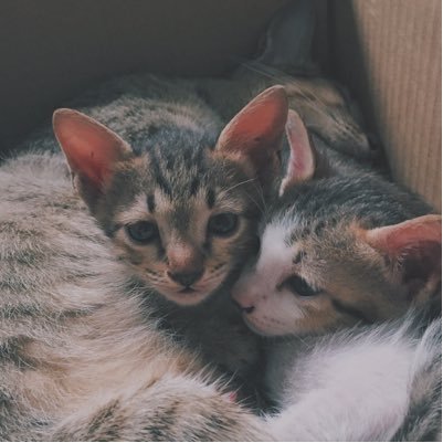 bbboyne's profile picture. 