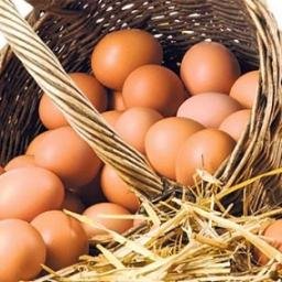 yumurtaburcu_'s profile picture. yumurta burcu erkeği ;))