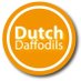 Dutch Daffodils (@dutchdaffodils) Twitter profile photo Dutch Daffodils (@dutchdaffodils) Twitter profile photo