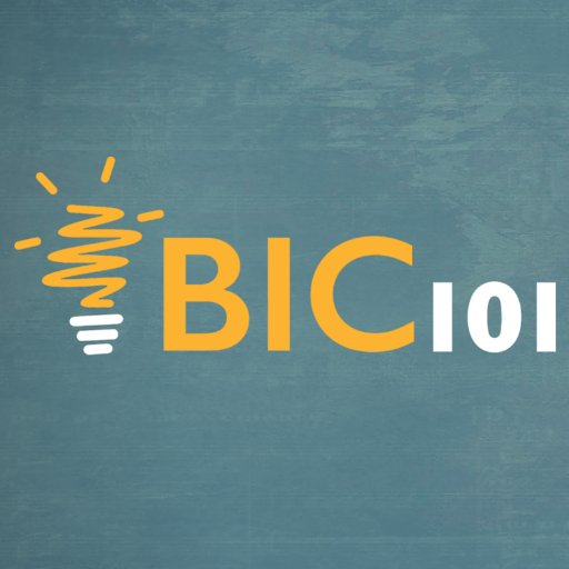 BIC Angel Investments Girişim Hızlandırma Programı. Mentorluk, tohum yatırım, çalışma alanı, growth hacking, uzman desteği, networking, pazarlama yardımı.