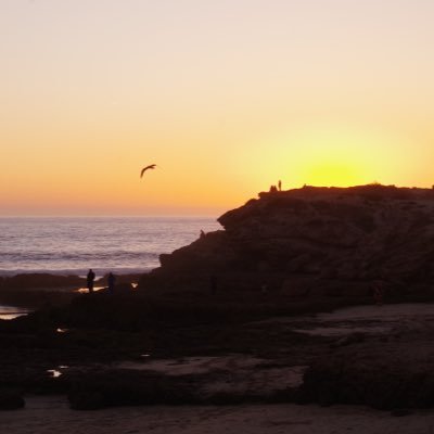 Luxury Apartments & Surfcamp, Tamraght, Morocco. 365 days of sunshine & waves on the doorstep of Europe! *Yoga & Fitness retreats. Specialists in large groups!*