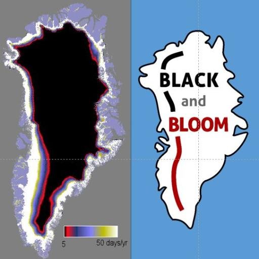 Black and Bloom was a @NERCScience funded project to understand how particles and microorganisms on the surface of the Greenland Icesheet affect it's albedo.