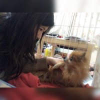 なゆ (@_nynyyy) 's Twitter Profile