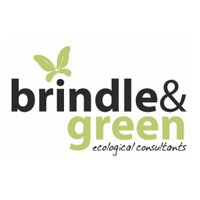 Brindle & Green(@BrindleGreen) 's Twitter Profile Photo