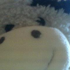 RedvanillaYt's profile picture. I'm just a loner who games and vlogs and rants about everything :)