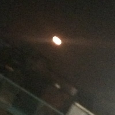 unko12031203's profile picture. 