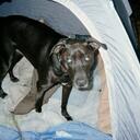 Bill Dudley - @billyd173 - Twitter