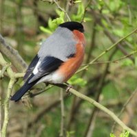 David Speight (@davidspeight2) 's Twitter Profile