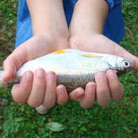 Good Fishing Day is My Day