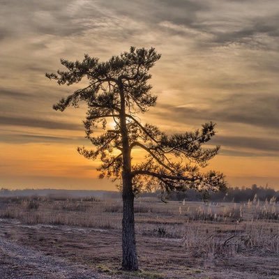 livelynavin's profile picture. 