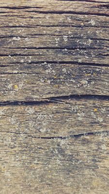 isaacrpgoxfd's profile picture. 