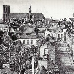 Brontes_Bxl's profile picture. 