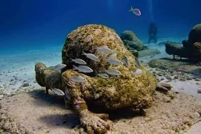 EngrAo's profile picture. 