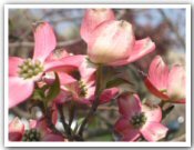 mustbekarmah's profile picture. 