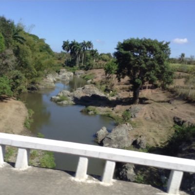 cass_levesque's profile picture. 