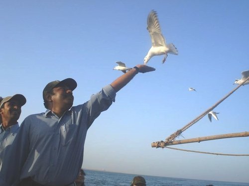 sudhakarifs's profile picture. Indian Forest Service Officer, Govt of Bihar