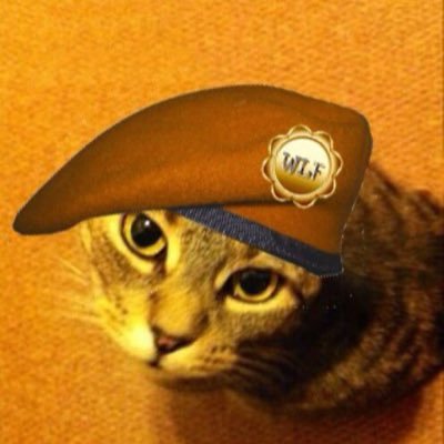 Tabby Tigers are Tops! I live wiv my mum and dad, Byron, Spikey and Shelley ❤️ #WeLoveSmitty #WLF AKA Dame Tiger Lily of Tabby Town