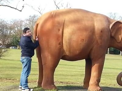 BoydieBoy86's profile picture. 