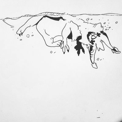 NeverusingthisE's profile picture. not today lol