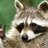 johnas42's profile image